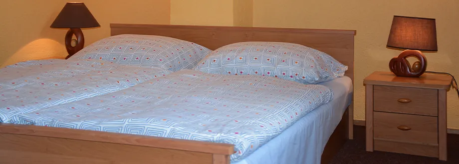 Pokoj v hotelu Adler